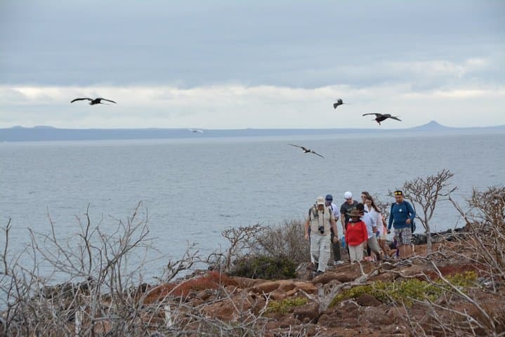 North Seymour and Las Bachas Yacht Day Tour — Galápagos Wildlife, Snorkeling & History photo 5