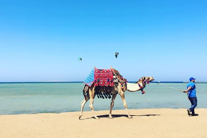 Hurghada to Nile Cruise: 8-Day Luxor, Aswan & Red Sea Tour photo 6