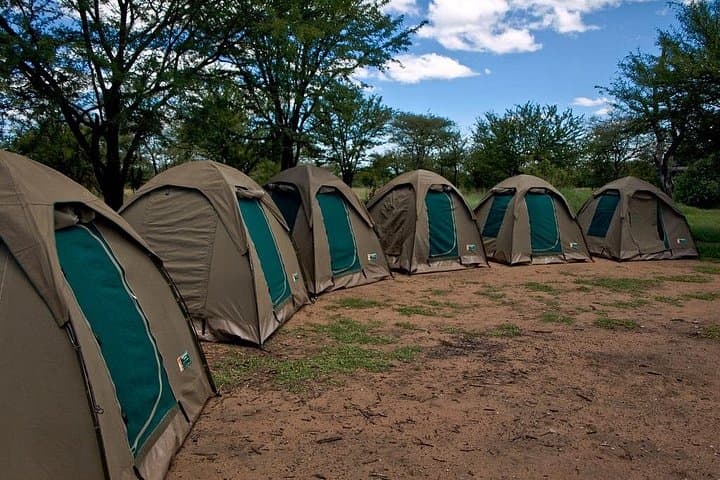 4-Day Budget Camping Safari: Tarangire, Serengeti & Ngorongoro photo 1