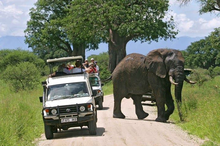 3-Day Private Serengeti Safari — Wildebeest Migration & Semi‑Luxury Lodging photo 4