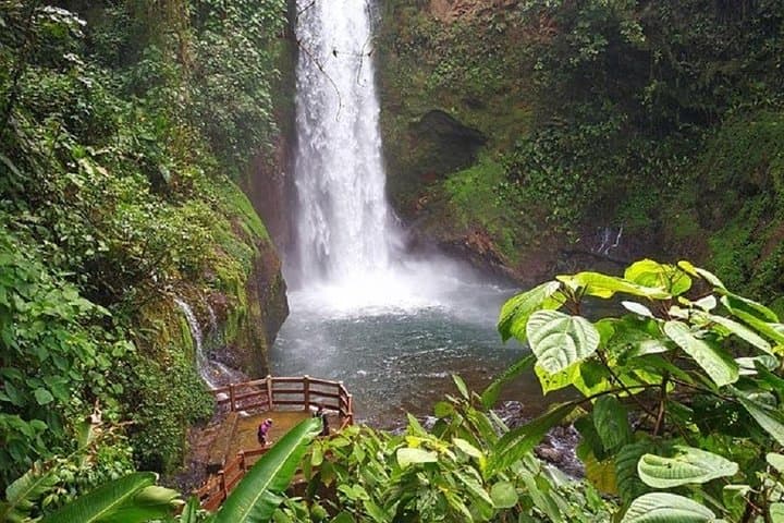 La Paz Waterfalls & Wildlife Trails: Half-Day Rainforest Walk from San José