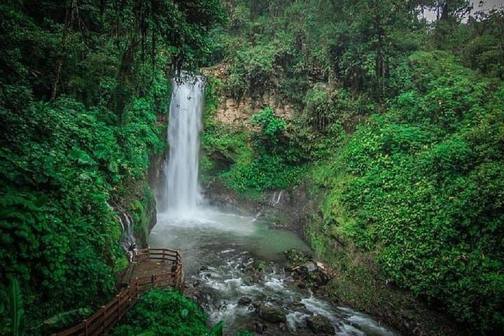 La Paz Waterfalls & Wildlife Trails: Half-Day Rainforest Walk from San José photo 2