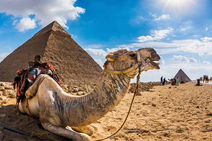 Hurghada to Cairo Day Tour by Air — Pyramids, Sphinx & Egyptian Museum photo 6