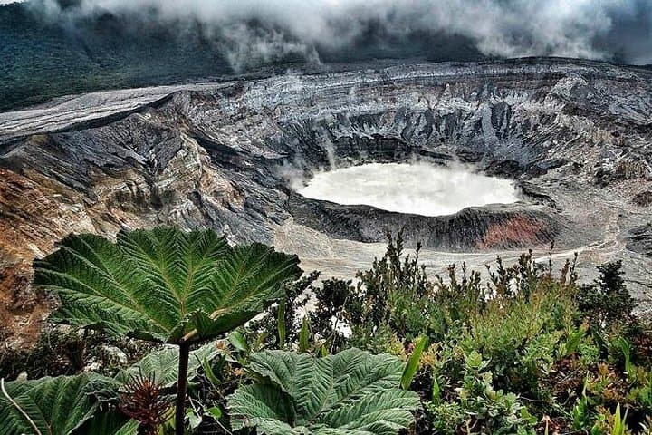 Doka Café, Poás Volcano & La Paz Waterfalls — Coffee, Craters and Rainforest Walks from San José photo 3