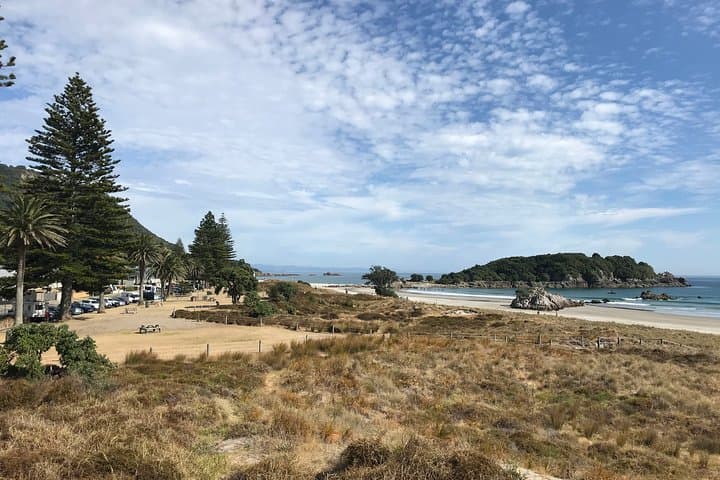 Tauranga Scenic History & Kiwifruit Tasting Tour — 4hr Mount Maunganui Experience photo 2
