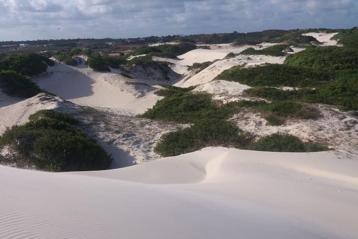 Genipabu Buggy Tour: Dunes, Lagoons & Zipline from Natal photo 5