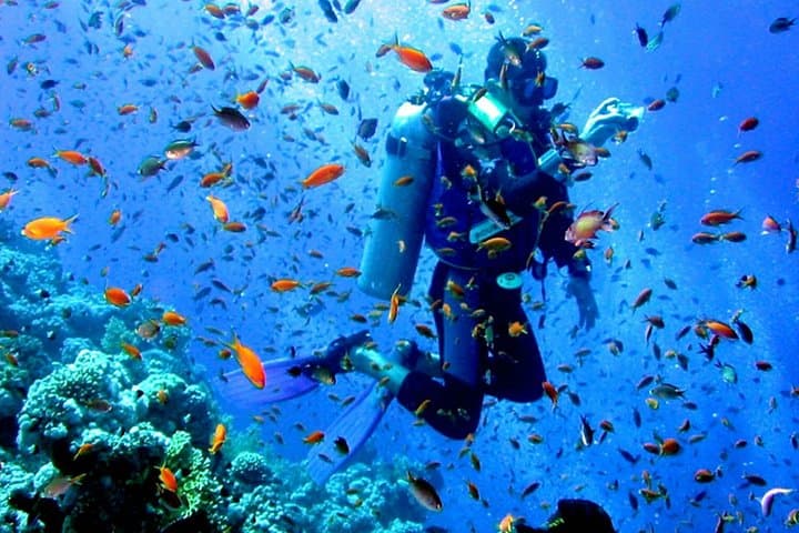 Marmaris Scuba Diving: Two-Tank Day Trips in Clear Mediterranean Waters photo 5