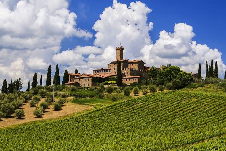 Tuscany Truffle & Brunello VIP Day Trip from Rome photo 3