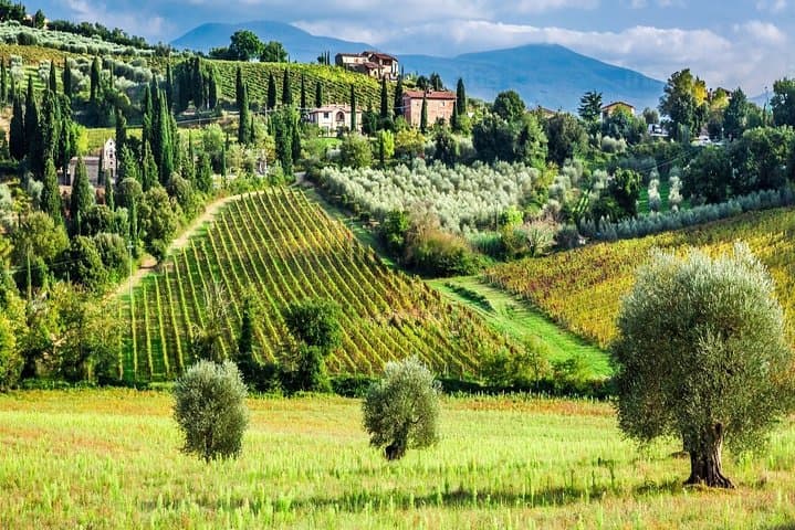 Tuscany Truffle & Brunello VIP Day Trip from Rome