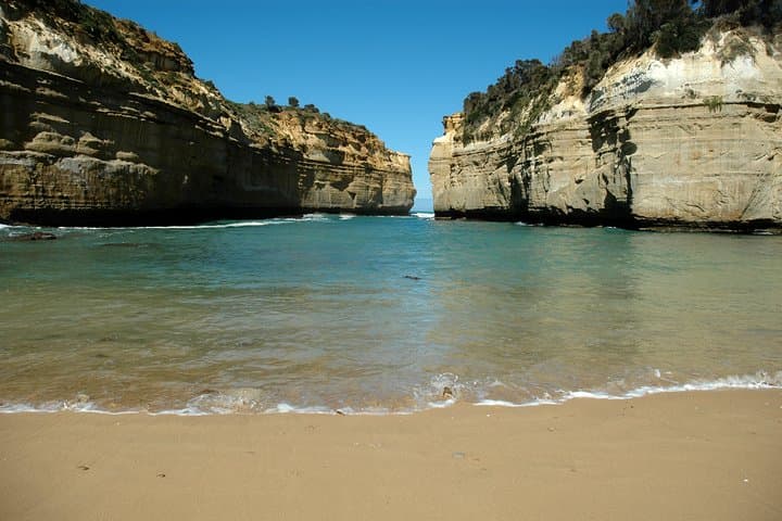 Great Ocean Road Tour: 12 Apostles, Koalas & Forest Walk from Melbourne photo 2