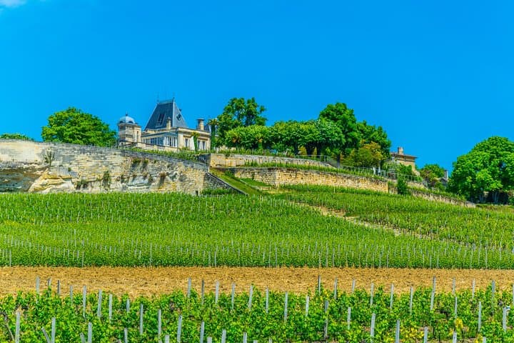 Saint-Emilion 2CV Wine Tour and Lunch from Bordeaux — Classic Car Vineyard Escape photo 4