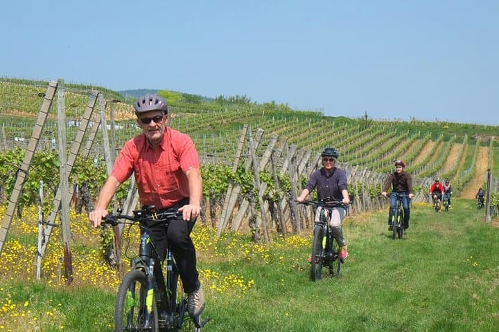 Chisinau E-Bike Rental: Ride Moldova’s Hills, Parks & Wine Roads photo 2