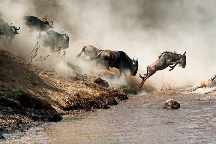 4-Day Private Safari: Tarangire, Serengeti & Ngorongoro Crater photo 5