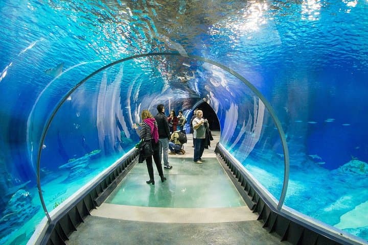 Skip-the-Line Wroclaw Zoo Tour with Private Transfer and Africarium Access