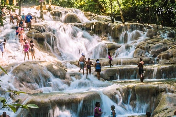 Bob Marley, Dunn's River Falls & Luminous Lagoon: Private Day Tour from Montego Bay