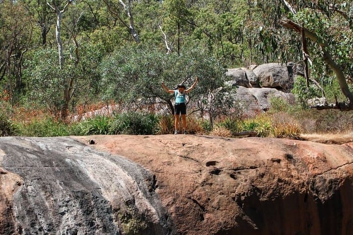 Kitty's Gorge Guided Hike — Serpentine Falls & Jarrah Forest Day Trek photo 2