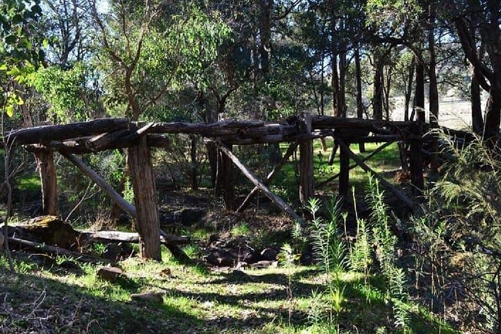 Kitty's Gorge Guided Hike — Serpentine Falls & Jarrah Forest Day Trek photo 4
