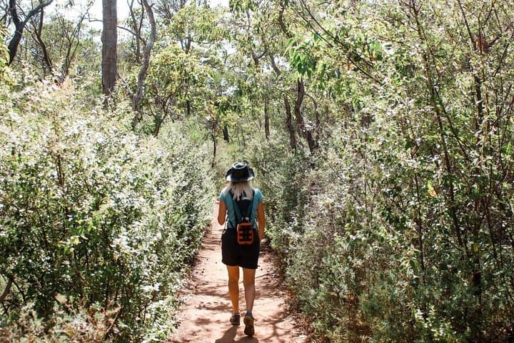 Kitty's Gorge Guided Hike — Serpentine Falls & Jarrah Forest Day Trek photo 5