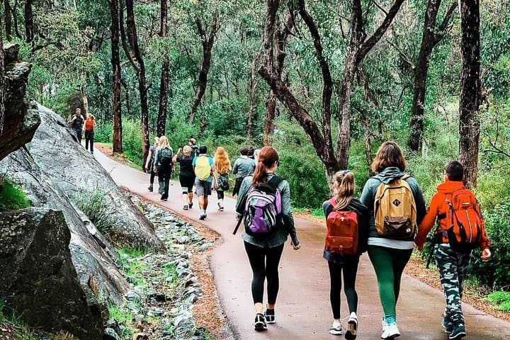 Kitty's Gorge Guided Hike — Serpentine Falls & Jarrah Forest Day Trek photo 6