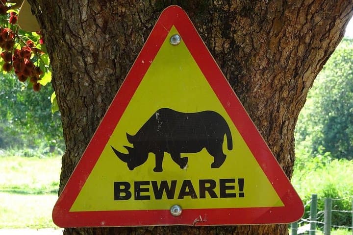 Ziwa Rhino Walking Safari: On Foot with Uganda’s White Rhinos photo 3