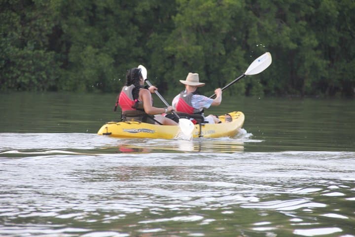 Kayak the Ora River: Mangroves, Birds & Camaronal Beach from Samara photo 3