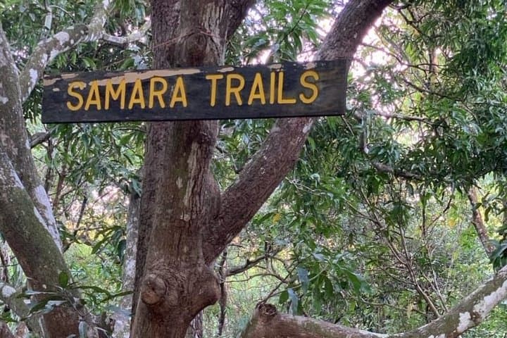 Samara Trails: Guided Hike Through Werner Sauter Biological Reserve photo 6