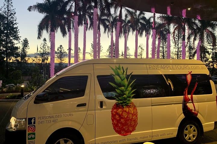 Mt Tamborine Shuttle from Gold Coast: Rainforest, Waterfalls & Wineries in a Day