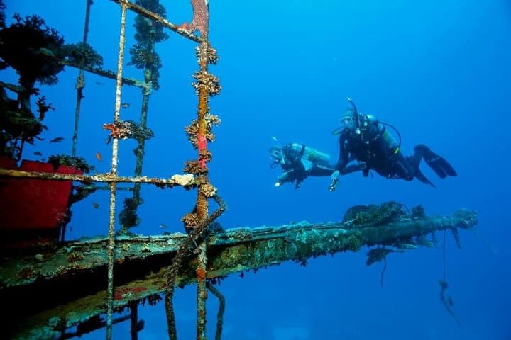 Deep Diving Course: 40m Specialty Training from Tutukaka