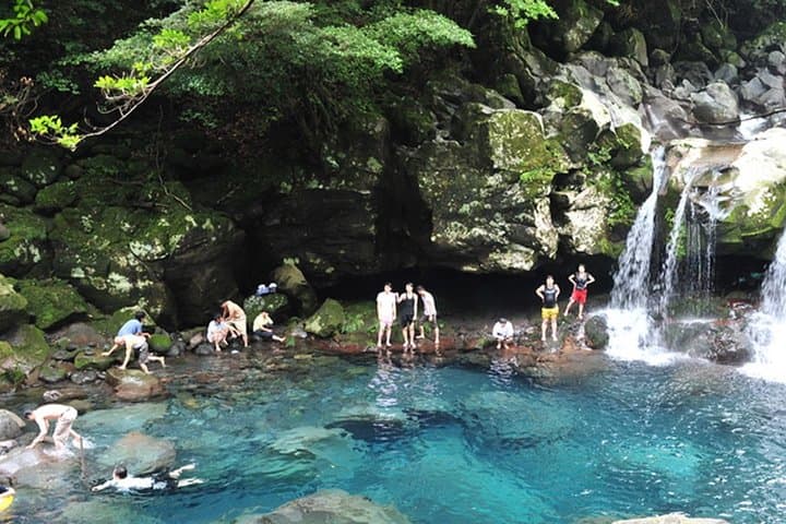 Customizable Full-Day Jeju Private Tour: East, West, South & Mt. Halla Options photo 5