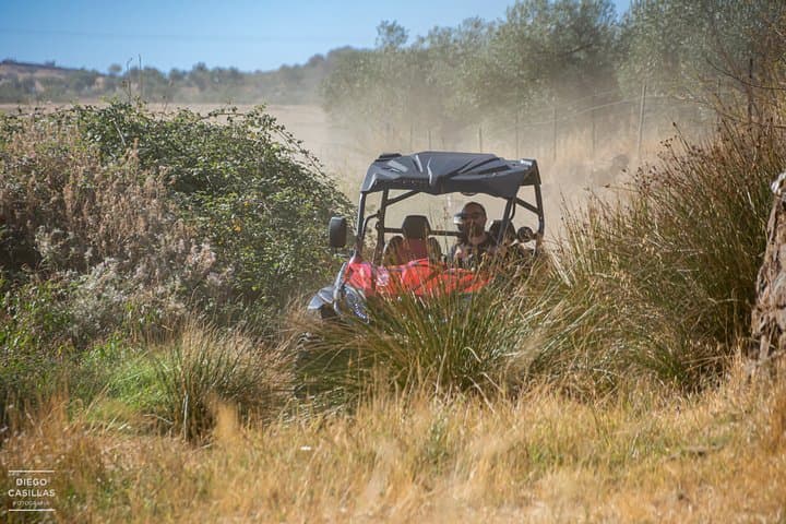 Buggy Route Through the Dehesa: 2-Hour Off-Road Adventure in Extremadura photo 3