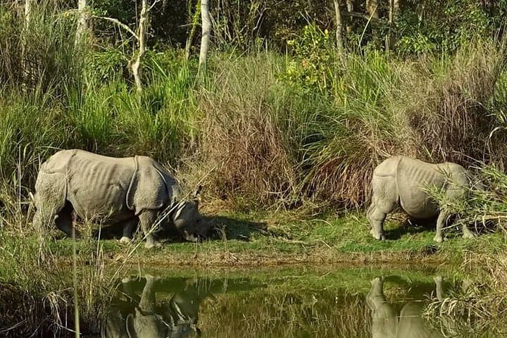 Seven Days in Nepal: Kathmandu, Pokhara, Lumbini & Chitwan photo 4