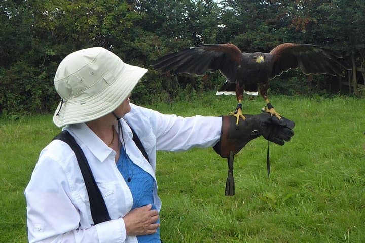 Bath City Tour and Fly-a-Hawk Experience — Walking Tour & Falconry Near Bath photo 3