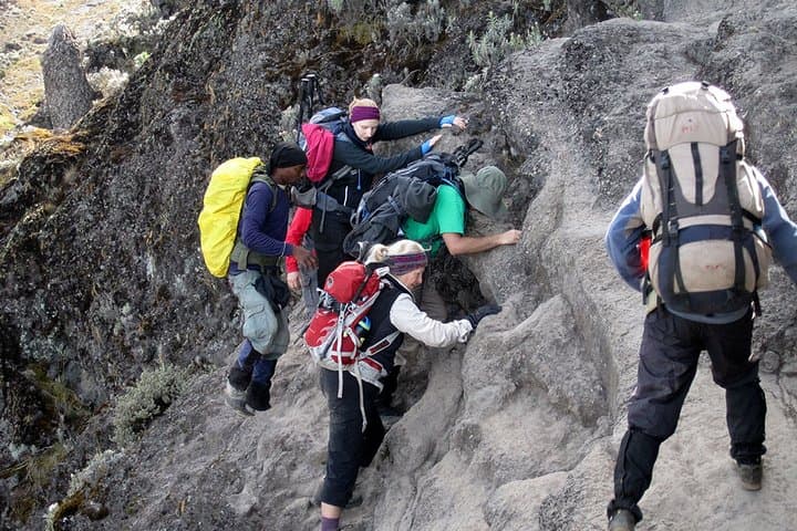 7-Day Kilimanjaro Rongai Route: Mawenzi Tarn to Uhuru Peak photo 3