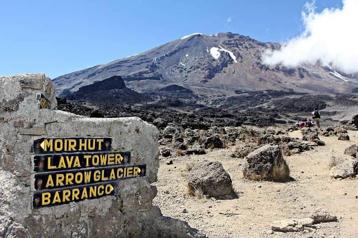 8-Day Lemosho Route Kilimanjaro Climb: Itinerary, Summit Strategy & Practical Tips photo 2