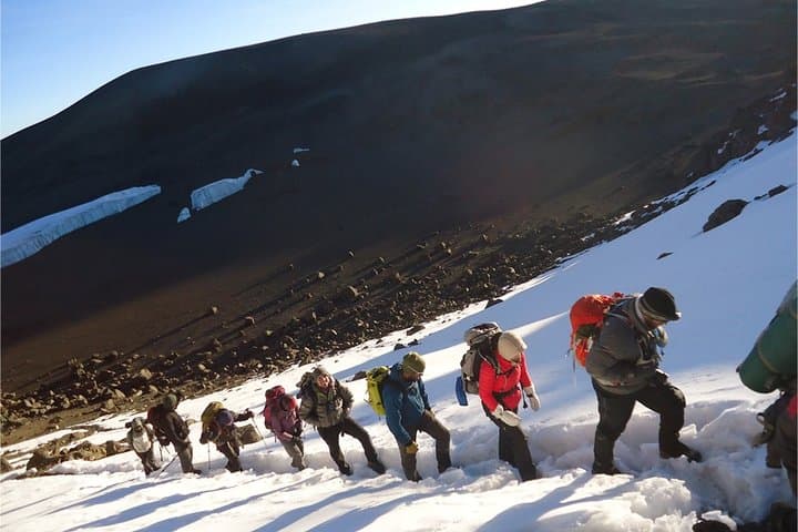 8-Day Lemosho Route Kilimanjaro Summit Trek: Complete Guide photo 4