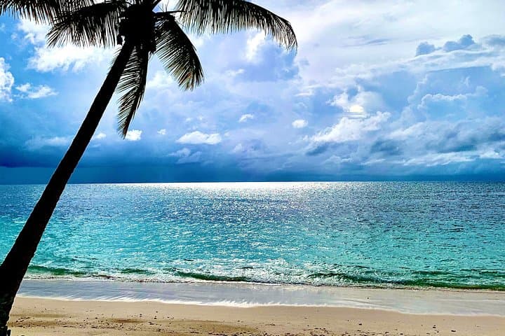 Private Mahé Island Tour: Beaches, Waterfalls & Victoria Market (4–8 hrs) photo 3