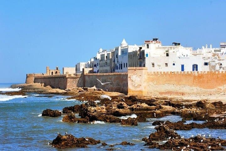 Essaouira Day Trip from Agadir — Argan Goats, Medina Strolls & Atlantic Beaches photo 5
