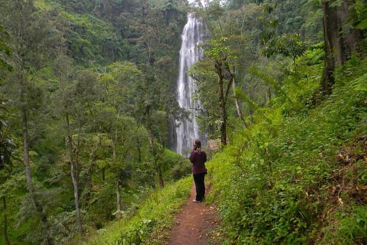 Materuni Falls & Chemka Hot Springs: Coffee, Hike and Swim Day Trip from Moshi photo 3