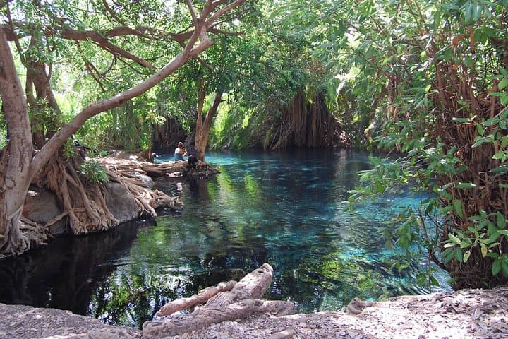 Materuni Falls & Chemka Hot Springs: Coffee, Hike and Swim Day Trip from Moshi photo 4