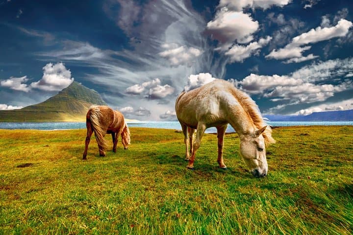 Private 3-Day Iceland Tour: Langjökull Glacier, Golden Circle & South Coast photo 4