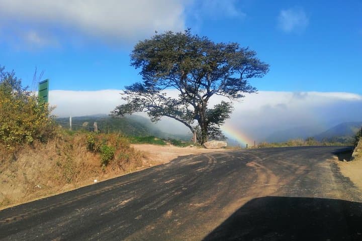 Private Transfer from Jaco to Monteverde — Comfortable Door-to-Door Shuttle photo 6