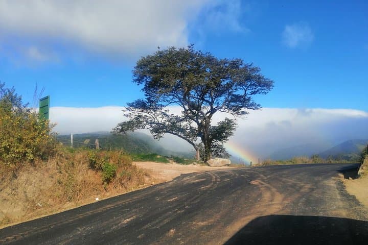 Private Transfer Monteverde to Jaco Beach — Door-to-Door Minivan with Stops photo 3