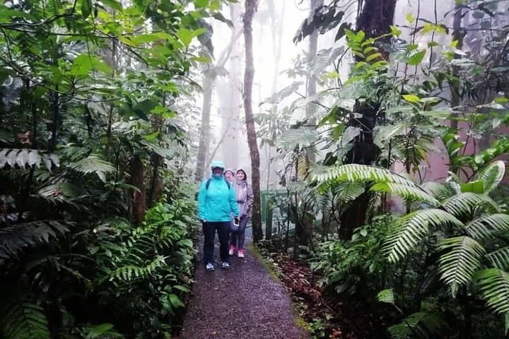 Monteverde to Dreams Las Mareas: Private One-Way Transfer for Up to 5 Passengers photo 3