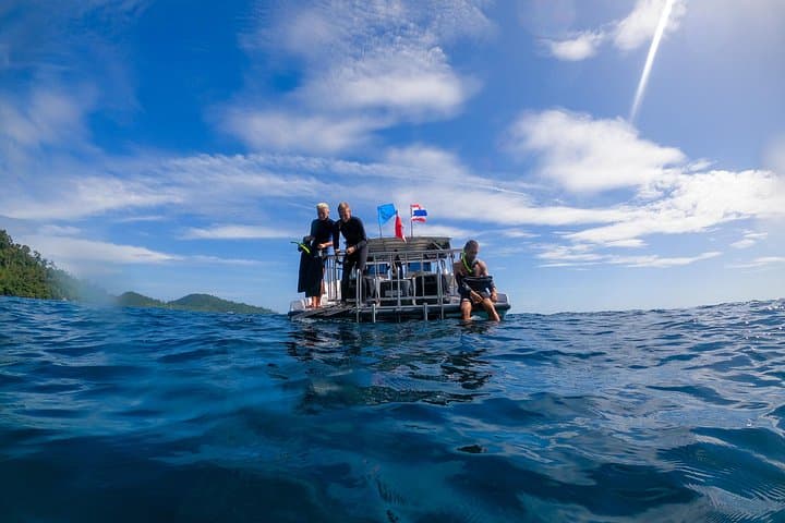 Snorkel Koh Lanta: Day-Trip to Pristine Reefs and Sea Turtles photo 5