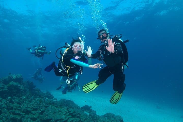 Discover Scuba Diving in Koh Lanta: Beginner-Friendly Day Dives to See Manta Rays