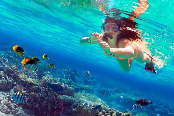 Saona Island VIP & Mano Juan Full-Day Tour from Punta Cana photo 1