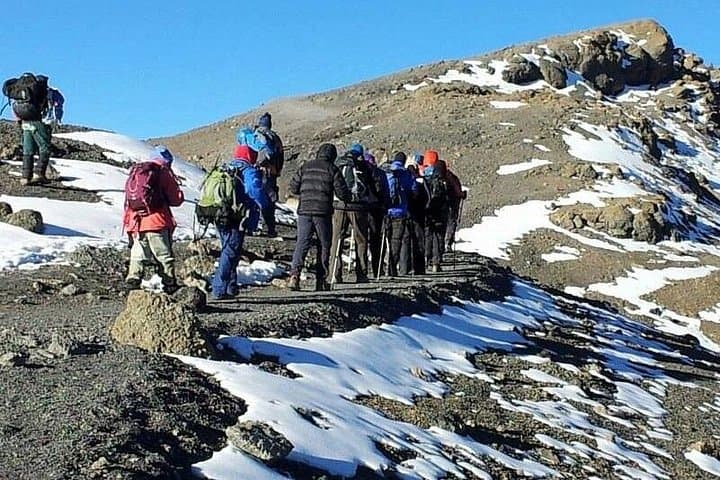 6-Day Mount Kilimanjaro Shira Route: Shira Plateau to Uhuru Peak photo 4