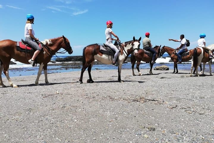 Playa Carrillo Horseback Ride: Ocean-to-Mountain Coastal Trail from Samara