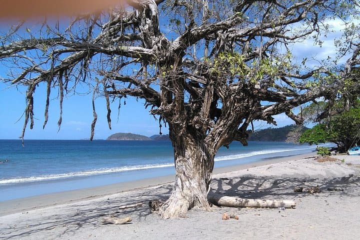 Private Transfer from San José Airport to Ocotal Beach — Reliable Shuttle to Guanacaste photo 3