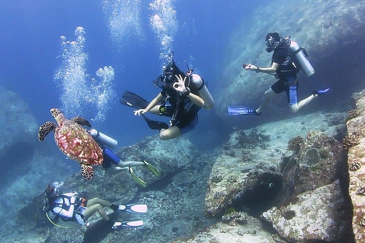 Discover Scuba Diving in Koh Lanta: Beginner-Friendly Day Dives to See Manta Rays photo 5